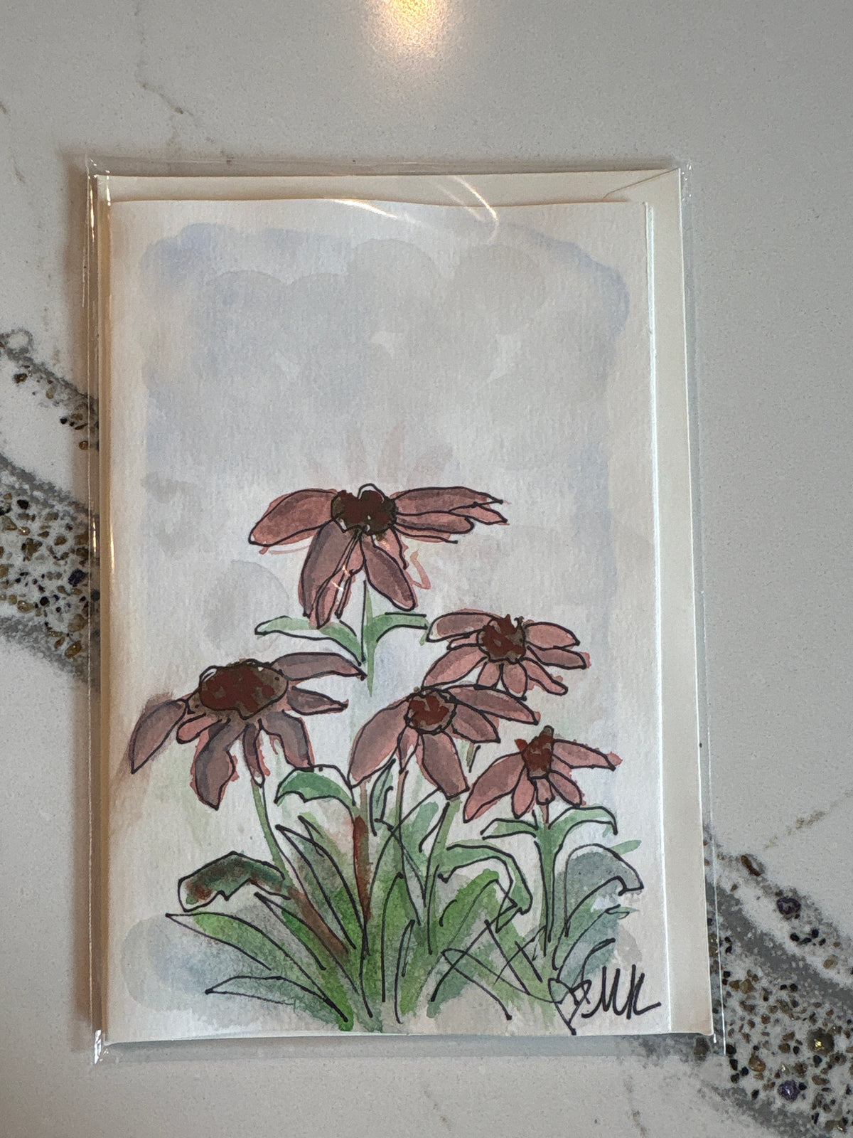 Coneflowers nearby