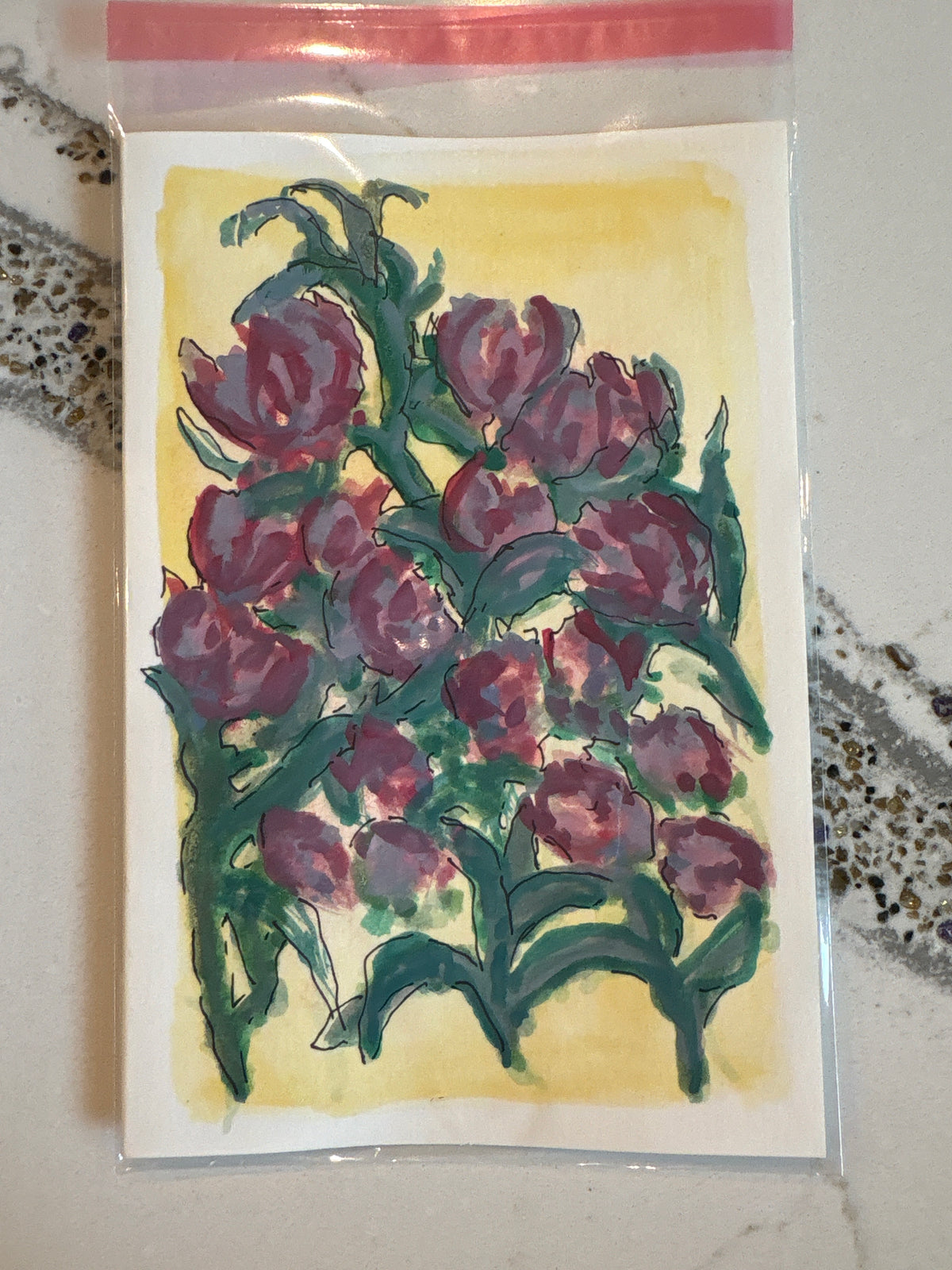 Tulip Story