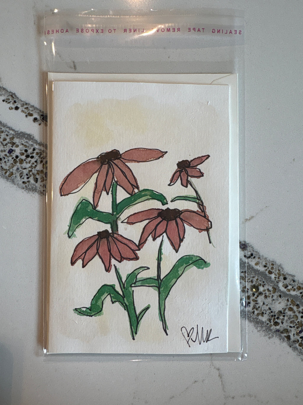 Coneflowers nearby