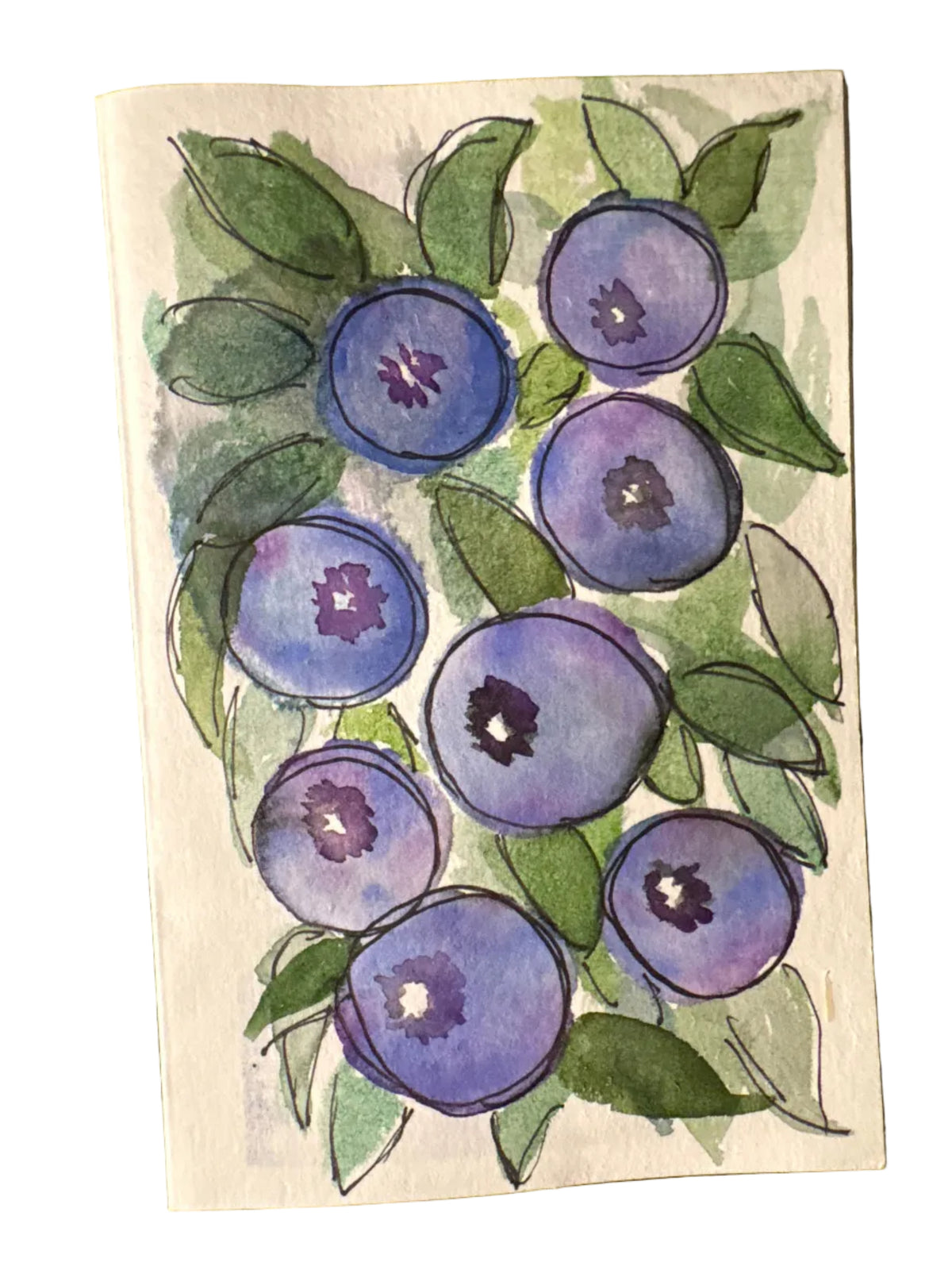 Blueberries from the Orchards