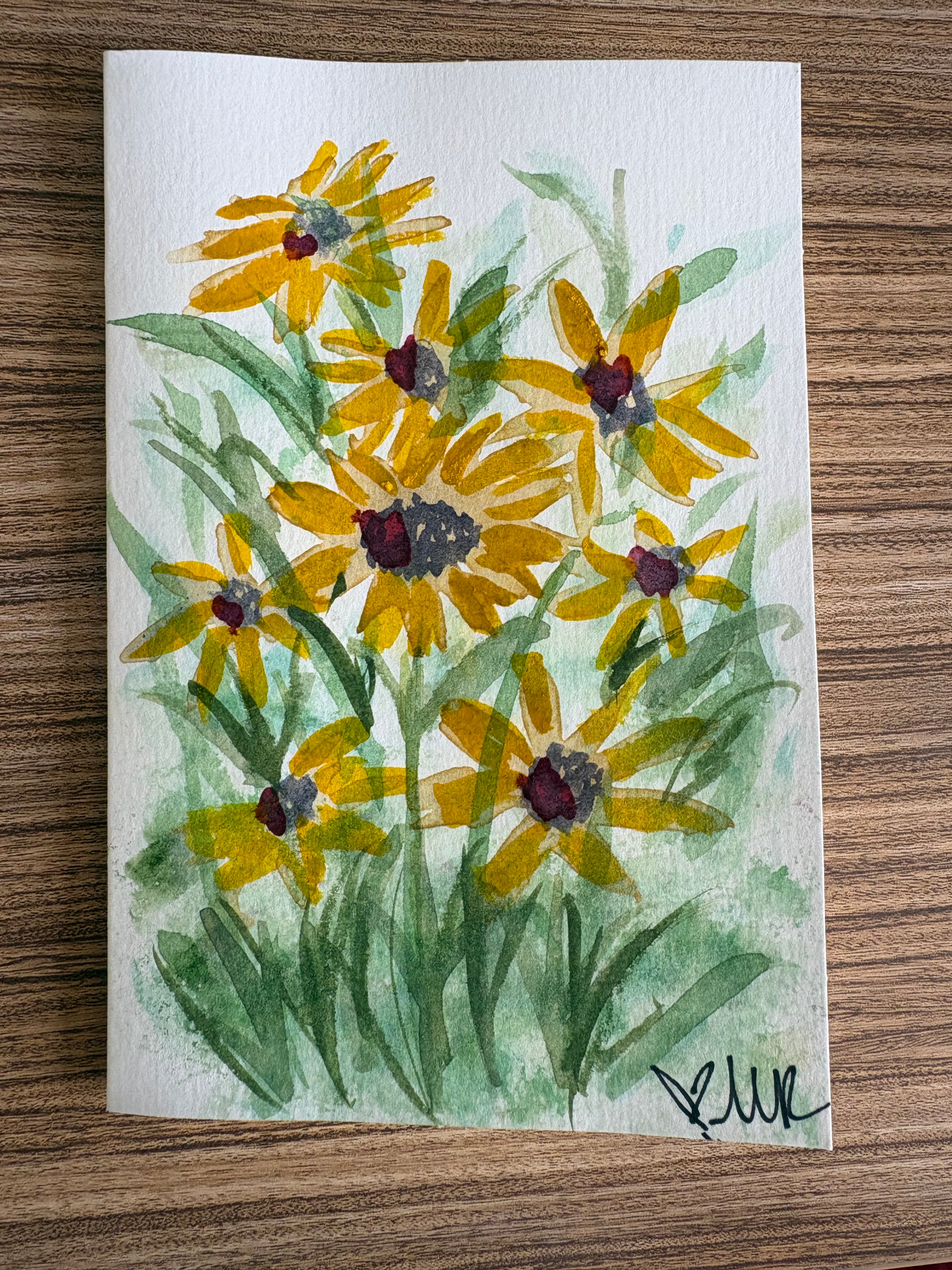 Sunflowers for Kansas