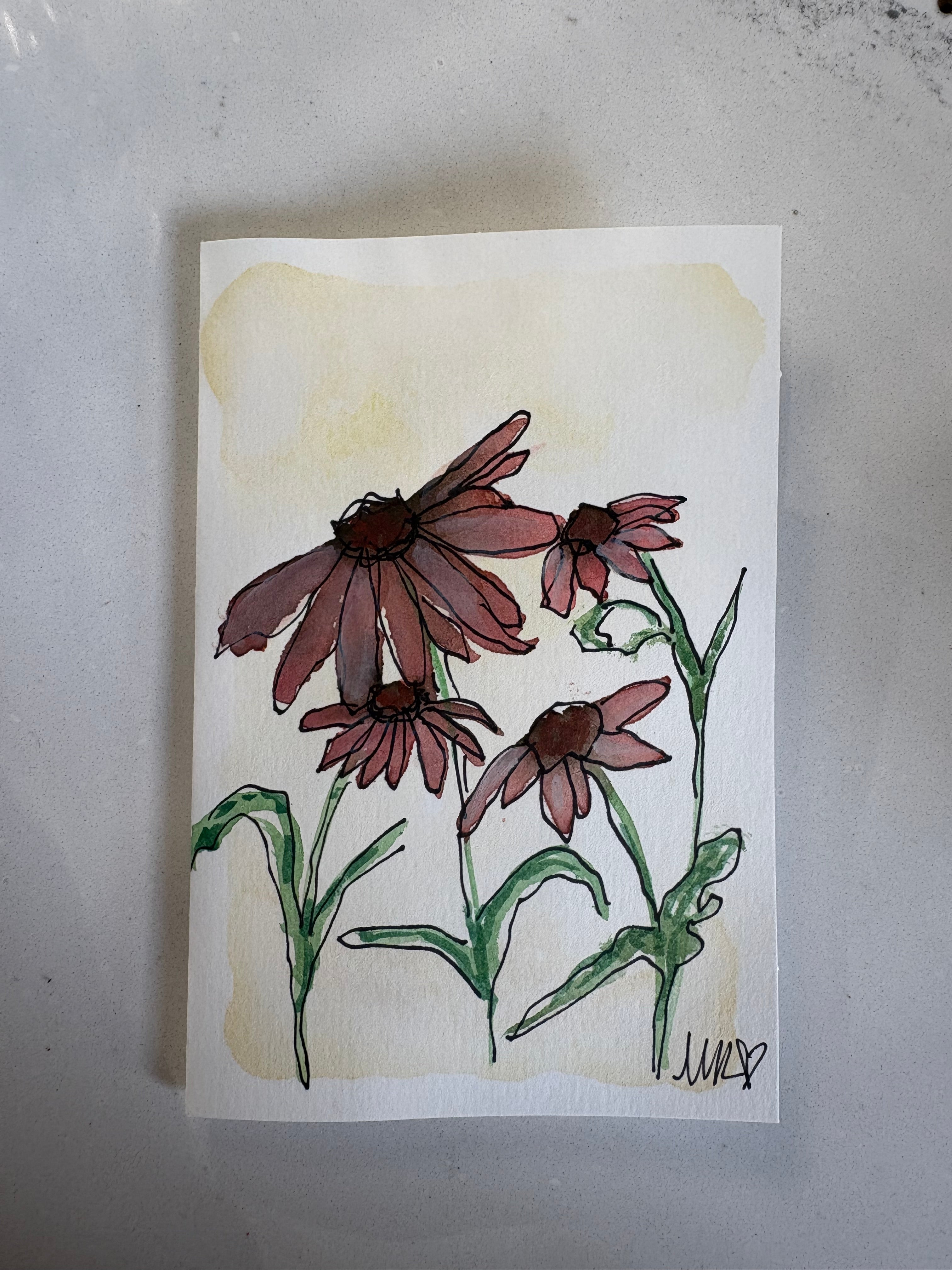 Coneflowers nearby