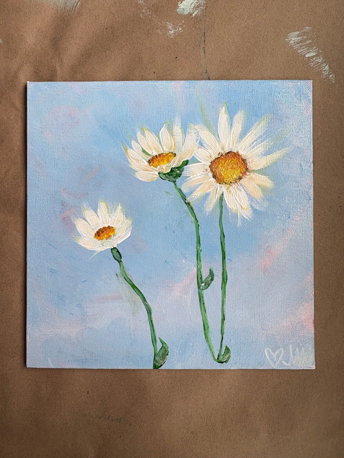 Daisies at Sunrise in Kansas